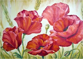 Kép - Pipacsvirágok (70x50 cm)