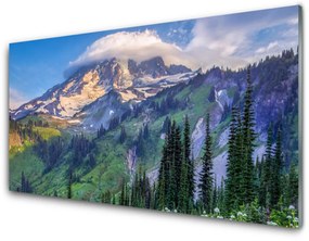 Akrilüveg fotó Forest Landscape Mountain Nature 100x50 cm