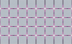 Fotótapéta Geometrikus vonalháló minimalizmus loft 254x184 vinil +ragasztó