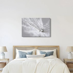 Kép - Egy csepp víz (90x60 cm)
