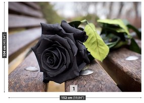 Fotótapéta Fekete rózsa 104x70 cm