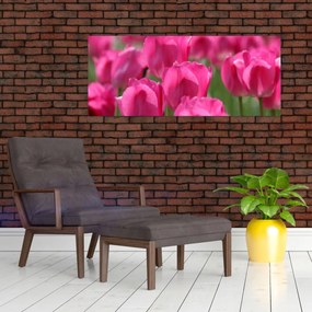 Kép - Rózsaszín tulipánok (120x50 cm)