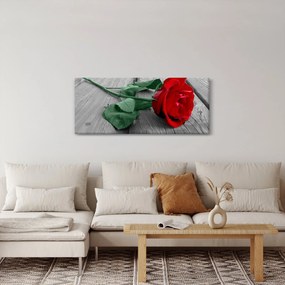Kép - Piros rózsa zöld szárral (120x50 cm)