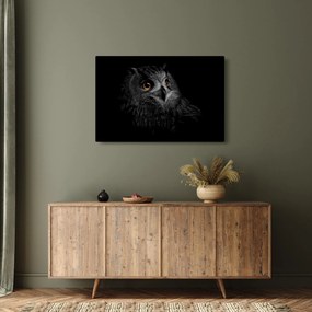 Kép - bagoly, ábra (90x60 cm)