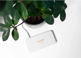 Concept KZ2010 - LED kozmetikai tükör PERFECT SKIN LED/1,5W/5V 300 mAh fehér