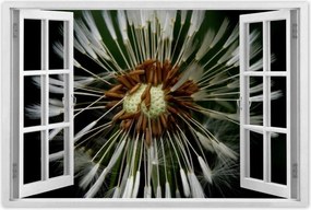 Poszterek 90x60 Pitypang Virág Virágok