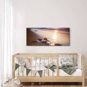 Kép - Kagyló (120x50 cm)