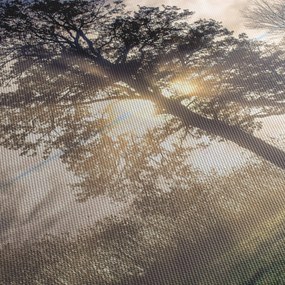 Fa a ködben képe (órával) (90x30 cm)