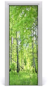 Ajtó méretű poszter nyírfa erdő 85x205 cm