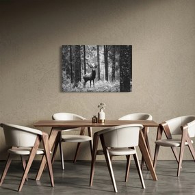 Kép - Szarvas az erdőben 2, fekete-fehér (90x60 cm)