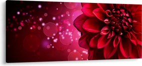Piros virágok képe (120x50 cm)
