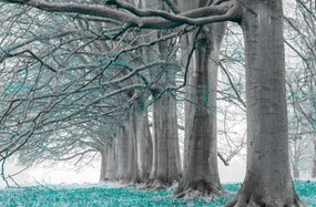 Poszter 91,5x60cm Fák egy sorban türkiz levelek, Assaf Frank