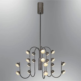 Aster - 2843-20A-24