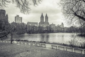Poszter 60x40cm Alsó-Manhattan panoráma a Central Parkból 3, Assaf Frank