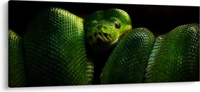 Kép - Zöld kígyó (120x50 cm)