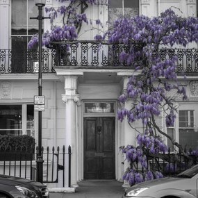 Poszter 60x60cm Ház a Portobello úton 2, Assaf Frank