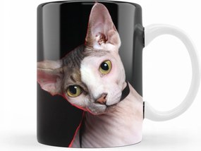 Macska Bögre Macska Szfinx ajándék kütyü 330 ml