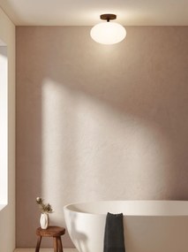 Astro Lighting ZEPPO 1176017 Plafonlámpa 1x12W/E27 IP44