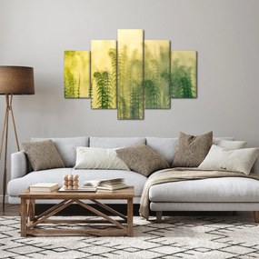 Kép - Részlet a tavaszi ködös természetből (150x105 cm)