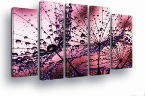 Vászonkép 150x100 Frissesség Rosa Vízcseppek Pitypang könnyedség Természet Finomság