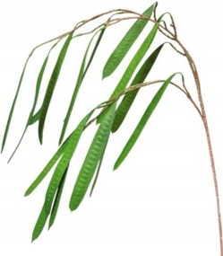 ág zöld hüvelyes bab mesterséges virágok növények túlnyúlás