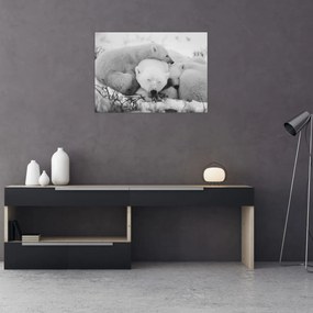 Üveg kép - Jegesmedvék (70x50 cm)