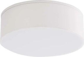 ANTIGO 7724 TOTTORI Ernyős Mennyezeti Lámpa Fehér LED IP44