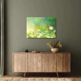 Kép - Virágozatlan pitypang (üvegen) (70x50 cm)
