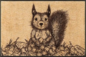 Lábtörlő bejárati szőnyeg|Wash+Dry|Squirry 50x75cm