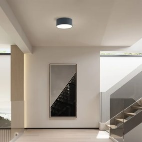 Brilagi - LED fürdőszobai mennyezeti lámpa FORIS LED/20W/230V átm. 15 cm antracit IP44