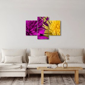 Kép - virág részlet (90x60 cm)