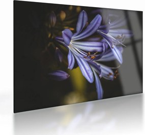 Kép - Lila (üvegen) (70x50 cm)