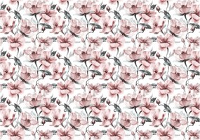 3D fotótapéta virágok bazsarózsa rózsák növények 254 x