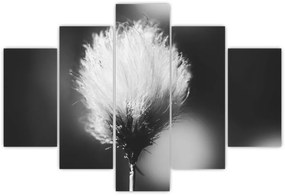 Kép - Fekete-fehér pamutfű (150x105 cm)
