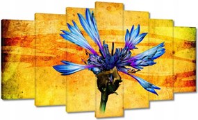 Festmények 140x80 Chaber