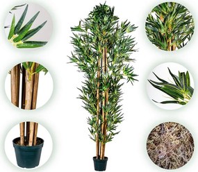 PLANTASIA Műnövény bambusz 220 cm