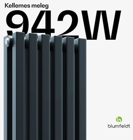Blumfeldt Delgado radiátor | modern dizájn | 25 x 120 cm | 942 W | középső csatlakozás
