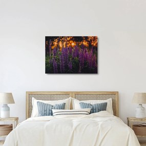 Egy csillagfürt virág képe (üvegen) (70x50 cm)