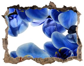Fali matrica lyuk a falban Kék orchidea nd-k-108719239