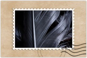 Poszterek 90x60 Fekete toll közelkép