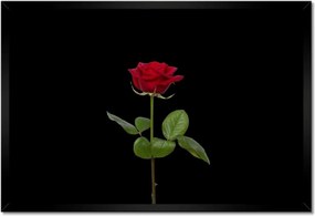 Poszterek keretben 60x40 Nőnap Ajándék Love