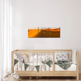 A sivatag képe (órával) (90x30 cm)