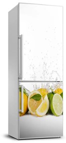 Hűtőre ragasztható matrica Citrusfélék FridgeStick-70x190-f-81760914