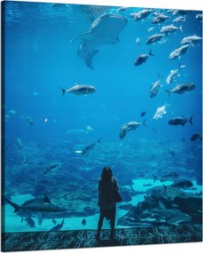 Vászonkép Emberek Akvárium Víz Tengeri Óceán Élet 80x100 cm