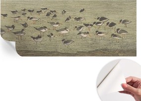 Dekoratív öntapadós fotótapéta Hálószobába Madár nyugalom 250x104 cm