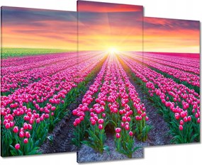 Vászonkép 90x70 Tulipánok tengere Virágok