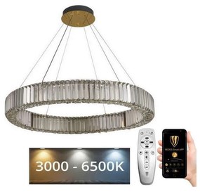 NEDES LED Dimmelhető csillár zsinóron LED/50W/230V 3000-6500K króm/arany + távirányító ND3531