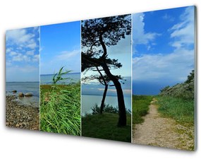 Akrilkép Beach fa táj 100x50 cm 2 fogas