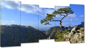 Festmények 150x80 Tájképek Kilátások Tájképek