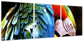 Kép - Papagáj (órával) (90x30 cm)